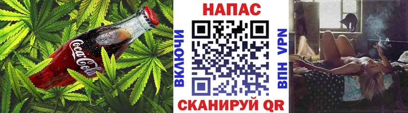 Купить  Ковров  Canna-Cookies конопля 