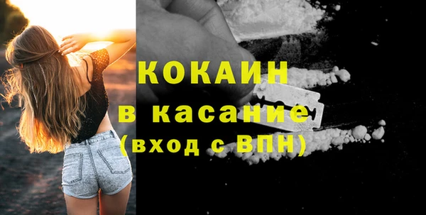 сатива Алзамай