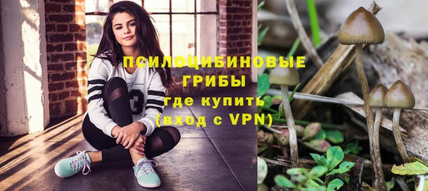 сатива Алзамай