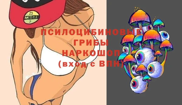 сатива Алзамай