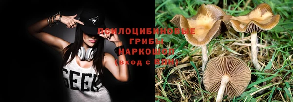 2c-b Алексин